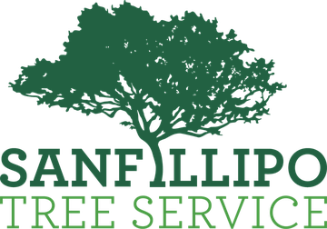 Sanfillipo Tree Service